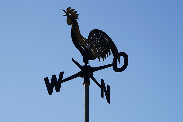 weathercock g7a9520701 640
