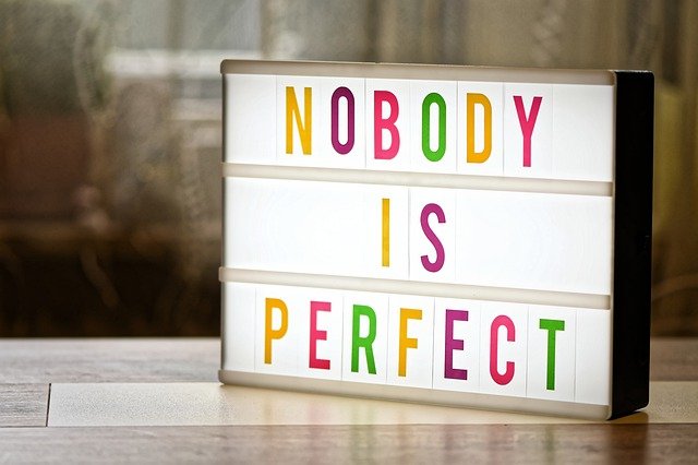 nobody is perfect g70c48fb4d 640